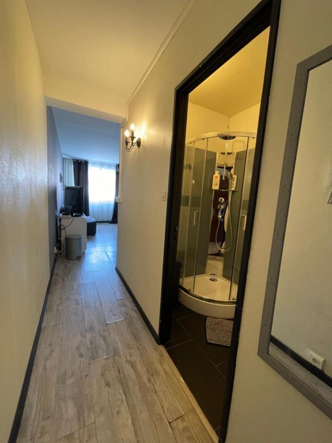 Grand Studio Proche Du Centre Ville สตราสบูร์ก ภายนอก รูปภาพ